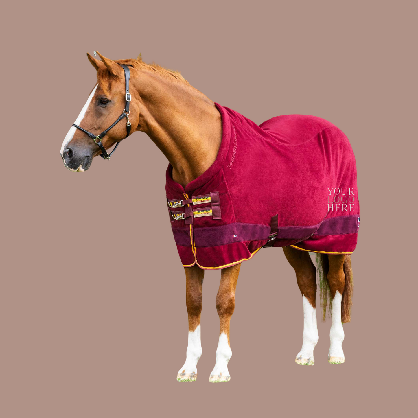 Buster Fleece Cooler Rug - Continental Edition