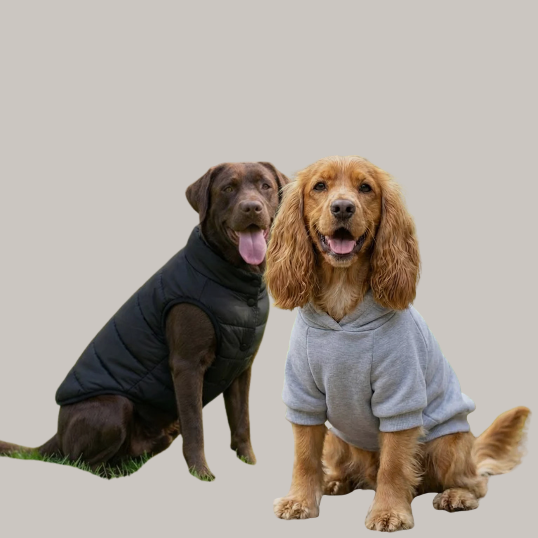 PETS