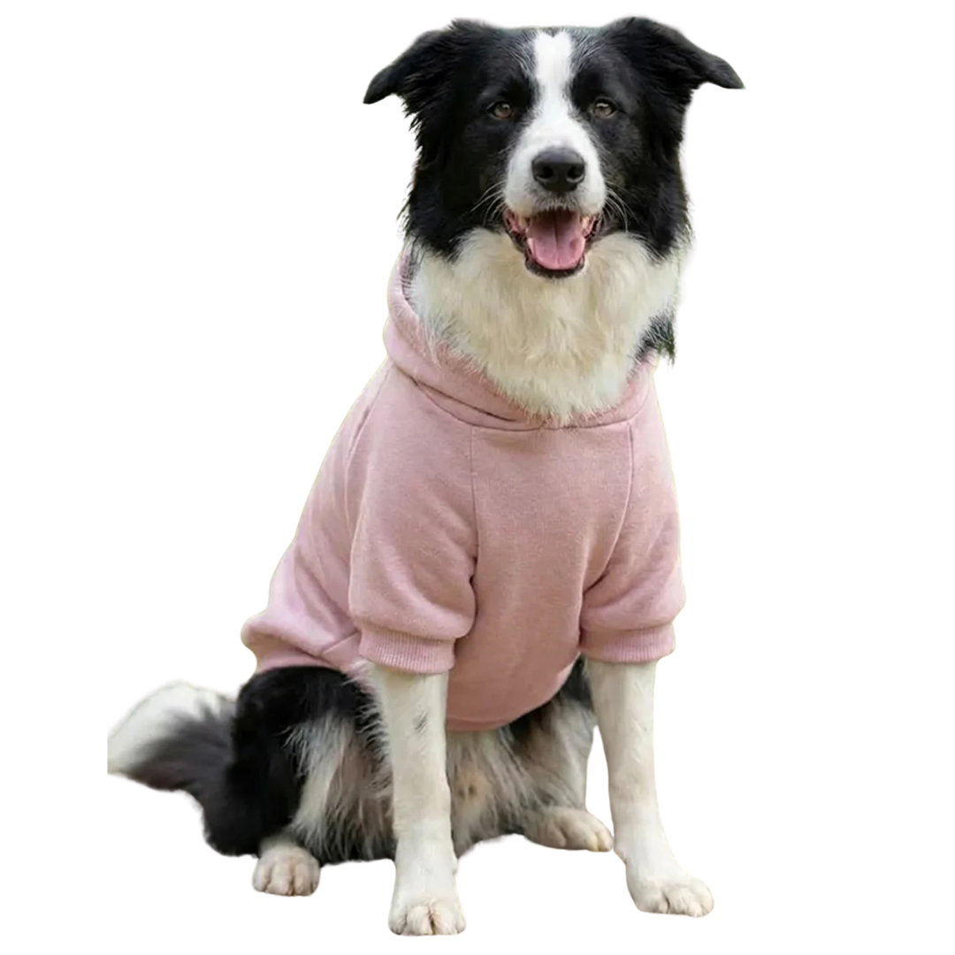 Dog’s hoodie