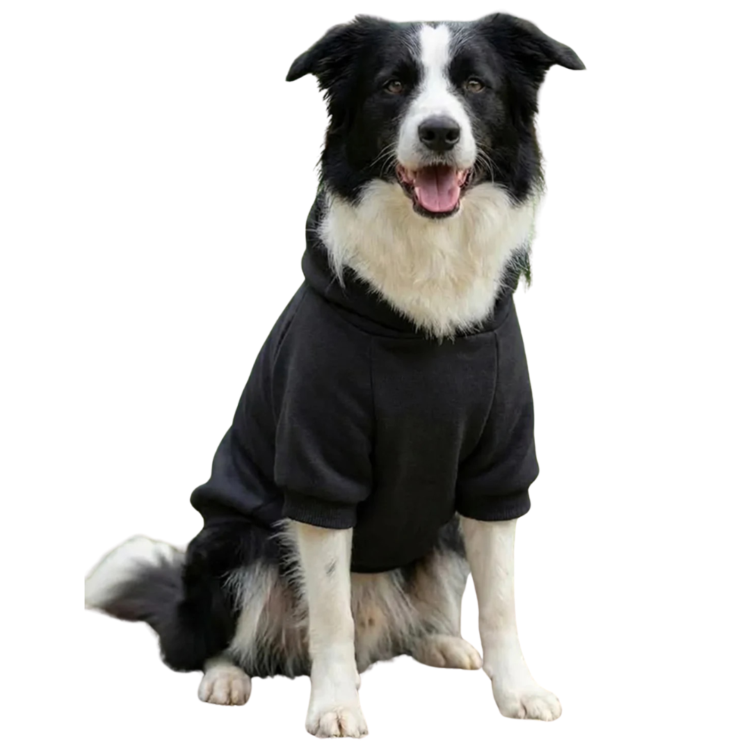 Dog’s hoodie