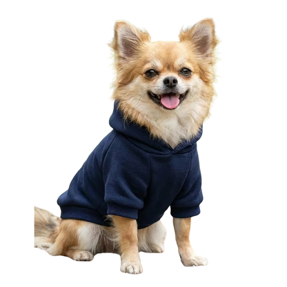 Dog’s hoodie
