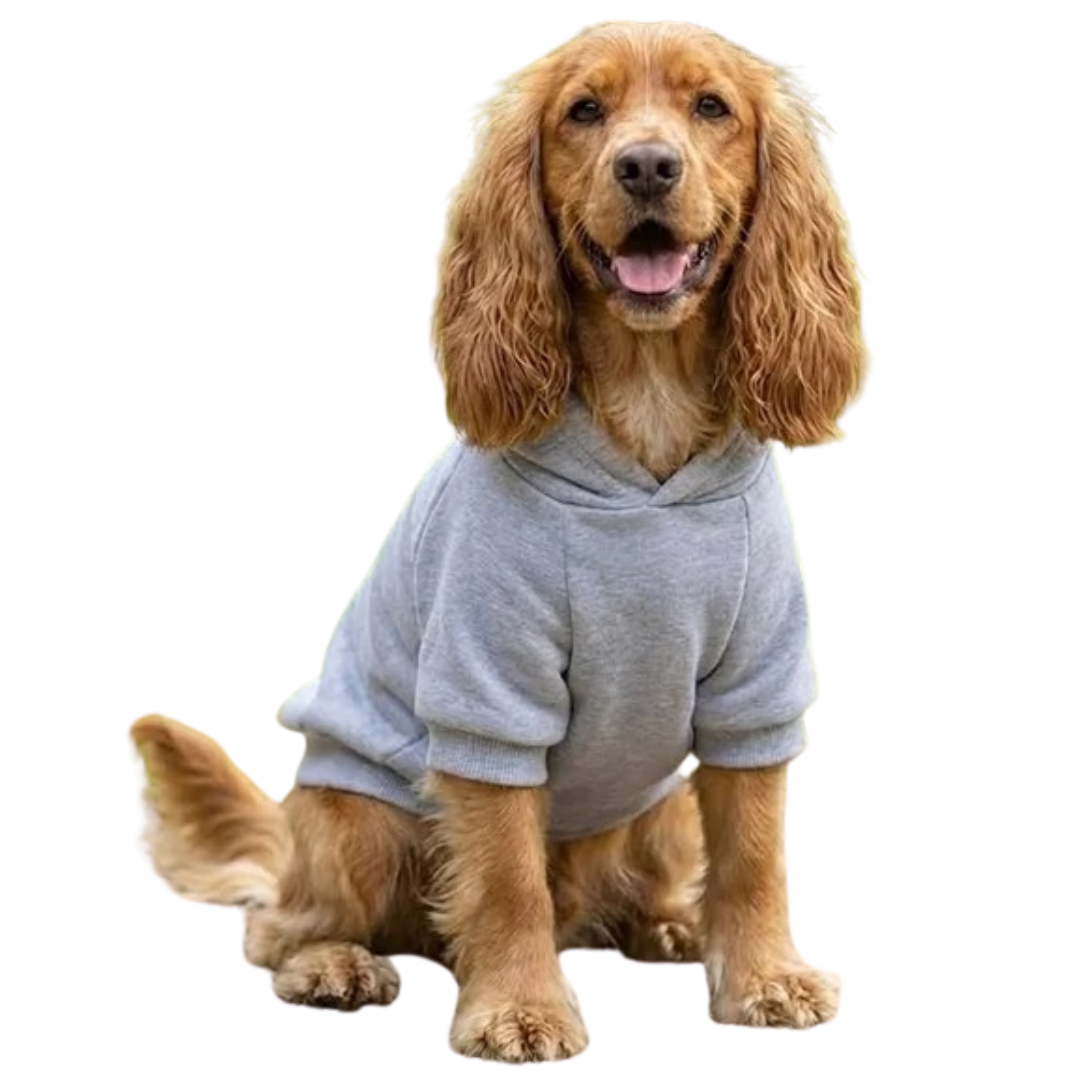 Dog’s hoodie