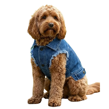 Dog’s denim jacket