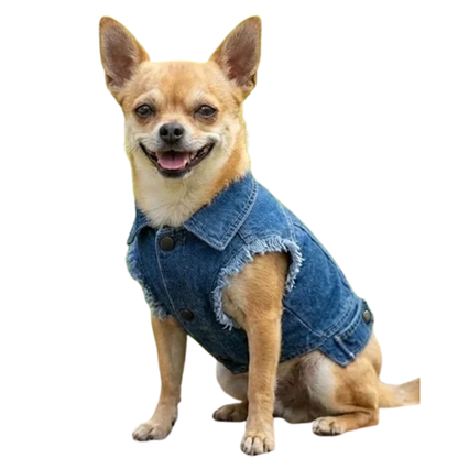 Dog’s denim jacket