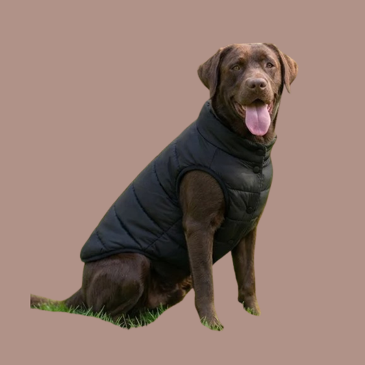 Dog’s puffer jacket
