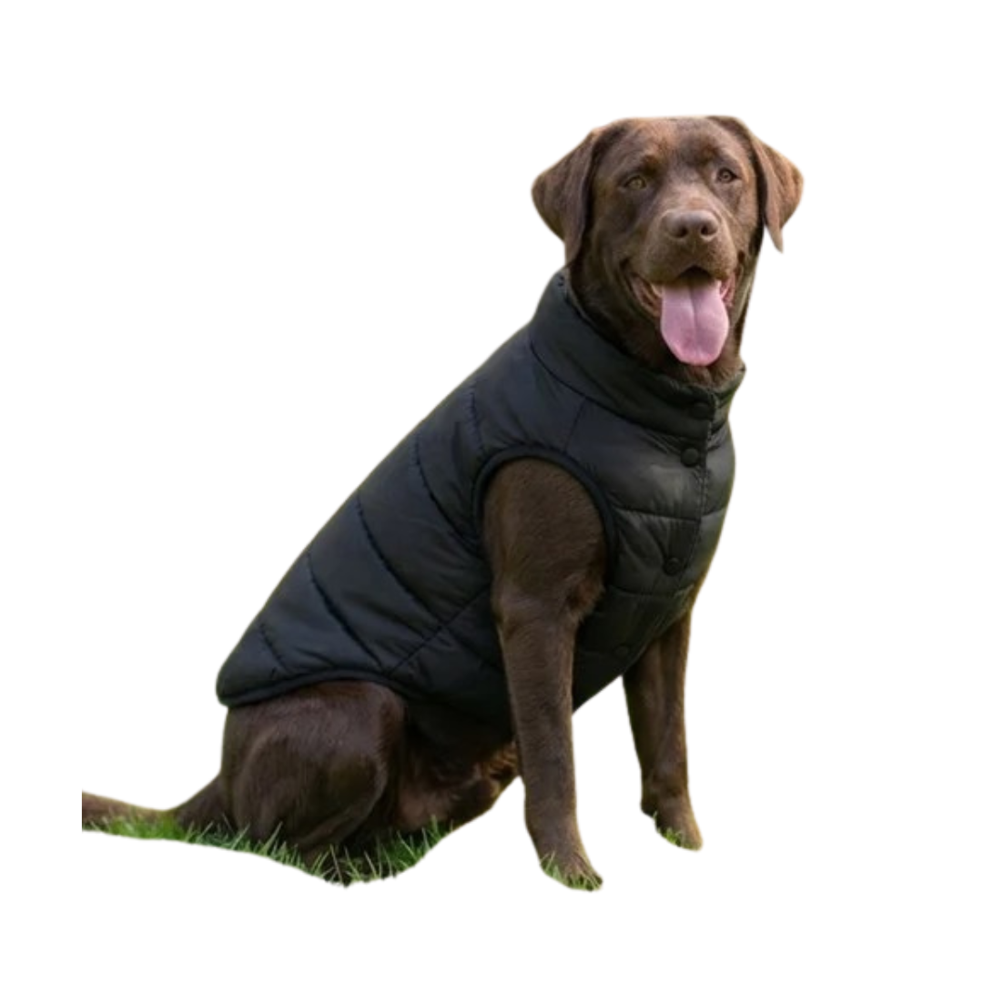Dog’s puffer jacket