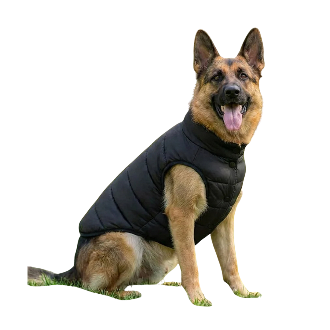 Dog’s puffer jacket