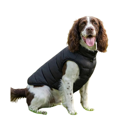 Dog’s puffer jacket