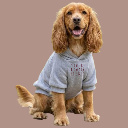 Dog’s hoodie