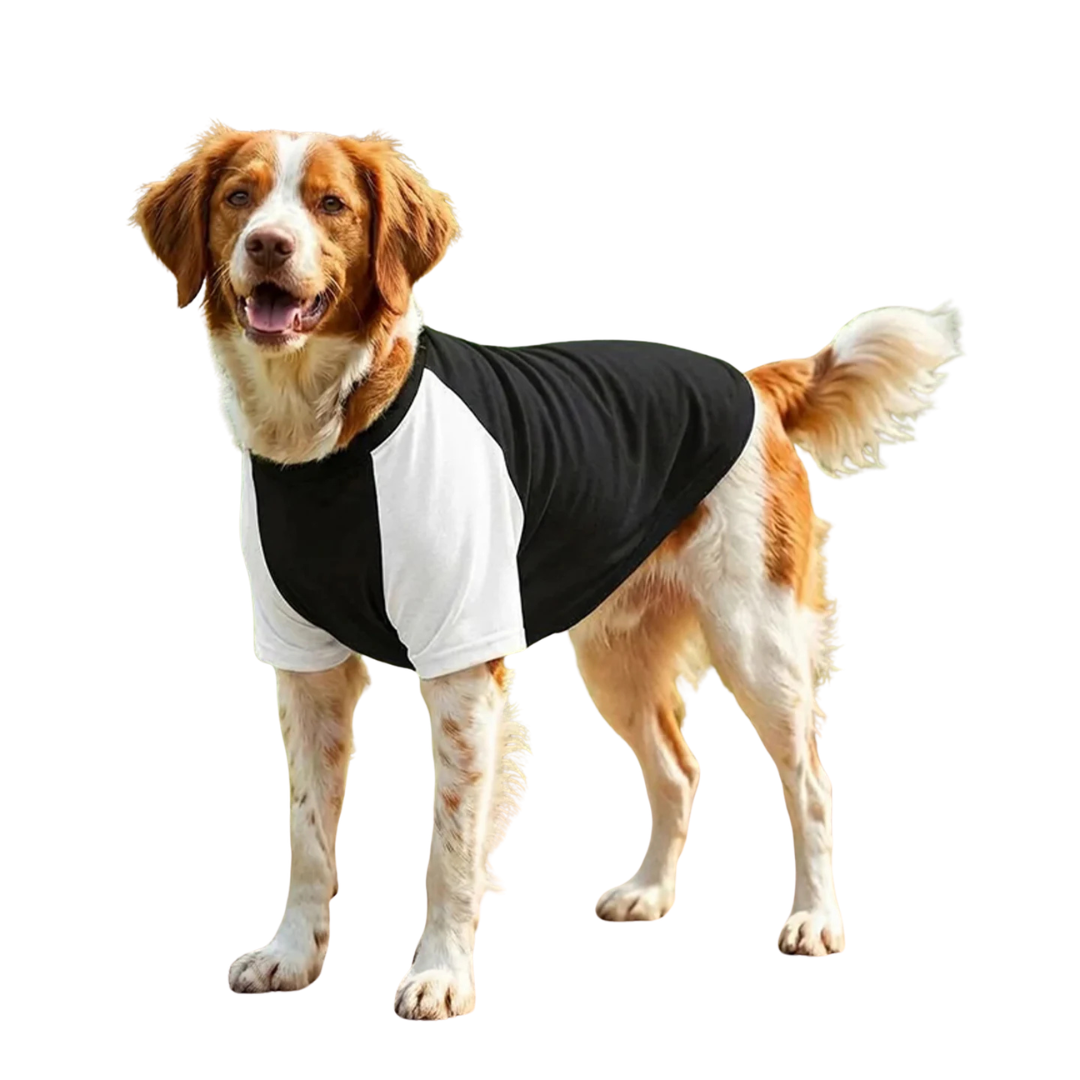 Dog’s Raglan t-shirt