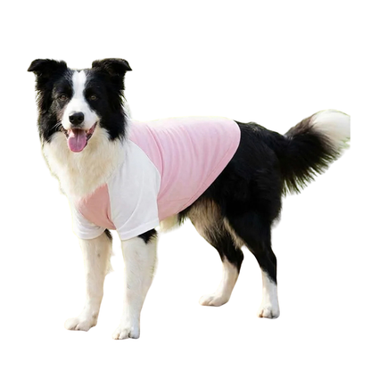 Dog’s Raglan t-shirt