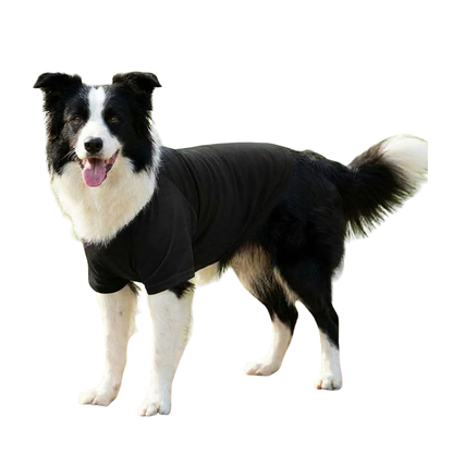 Dog’s Raglan t-shirt