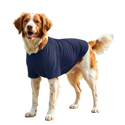 Dog’s Raglan t-shirt
