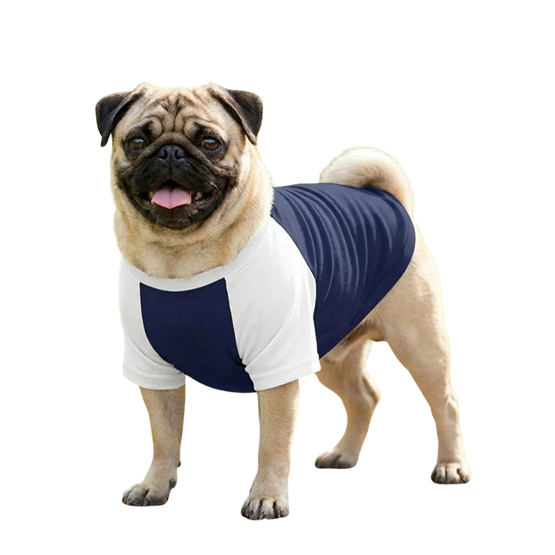 Dog’s Raglan t-shirt