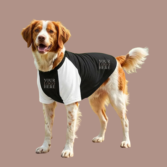 Dog’s Raglan t-shirt
